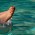 apartments in phoenix: feet
