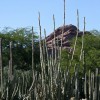 apts phoenix: desert1