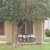 Spotlight on Phoenix Apartments: Falcon Glen apts phoenix: falcon
