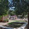 Spotlight on Phoenix Apts: Gentrys Walk apts phoenix: gentry