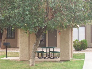 apts phoenix: falcon